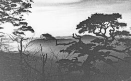 012 - gempenfluh 1984